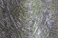 Bankglen fibreglass roof work